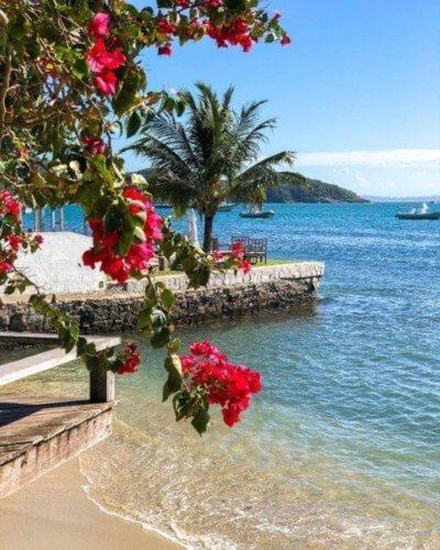 Apartamento Carnaval Disponível -al Mar -rua Das Pedras *