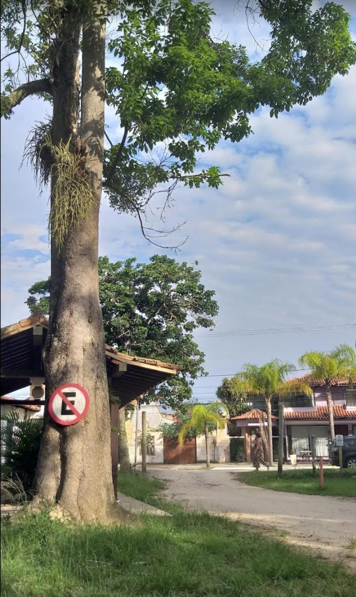 Apartamento Carnaval Disponível -al Mar -rua Das Pedras
